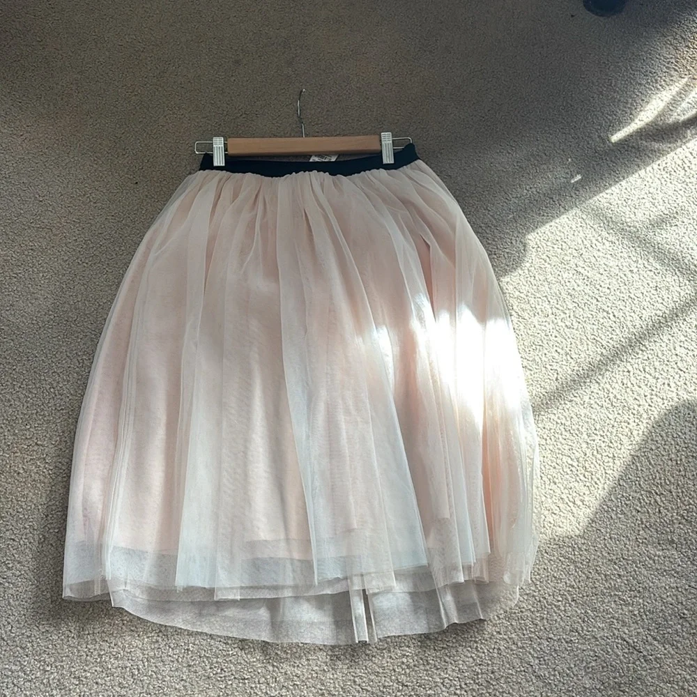 Abercrombie &Fitch Tulle Skirt - Picture 4 of 10